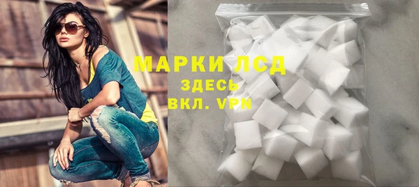 индика Арсеньев