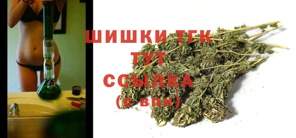индика Арсеньев
