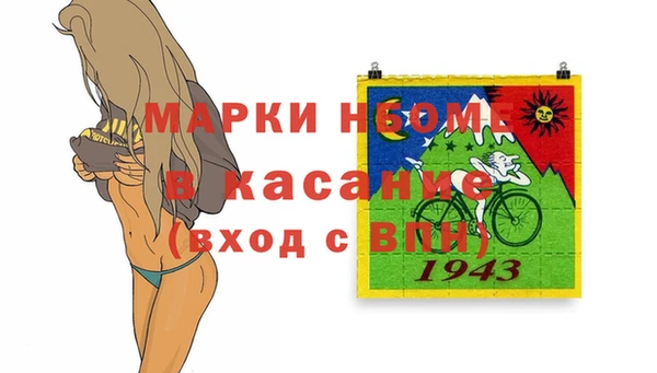 индика Арсеньев