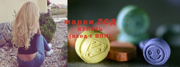 индика Арсеньев