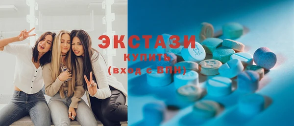 индика Арсеньев