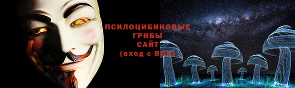 индика Арсеньев
