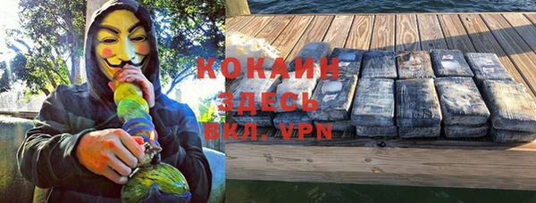 индика Арсеньев