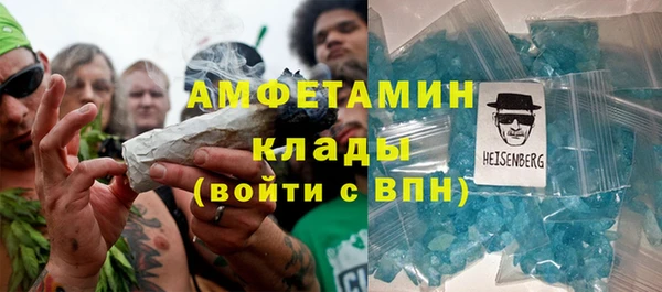 индика Арсеньев