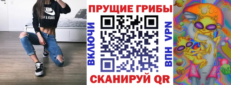 kraken ТОР  Междуреченск  Галлюциногенные грибы Magic Shrooms  купить наркотик 